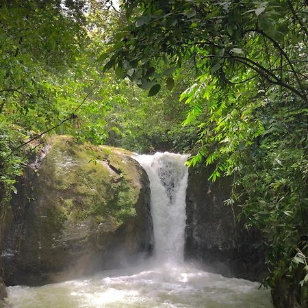 Rio Tico Safari Lodge Punta Mala Экстерьер фото