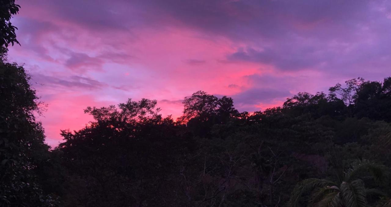 Rio Tico Safari Lodge Punta Mala Экстерьер фото