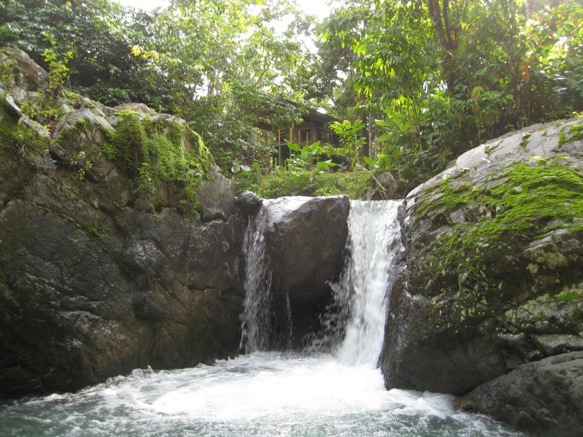 Rio Tico Safari Lodge Punta Mala Экстерьер фото