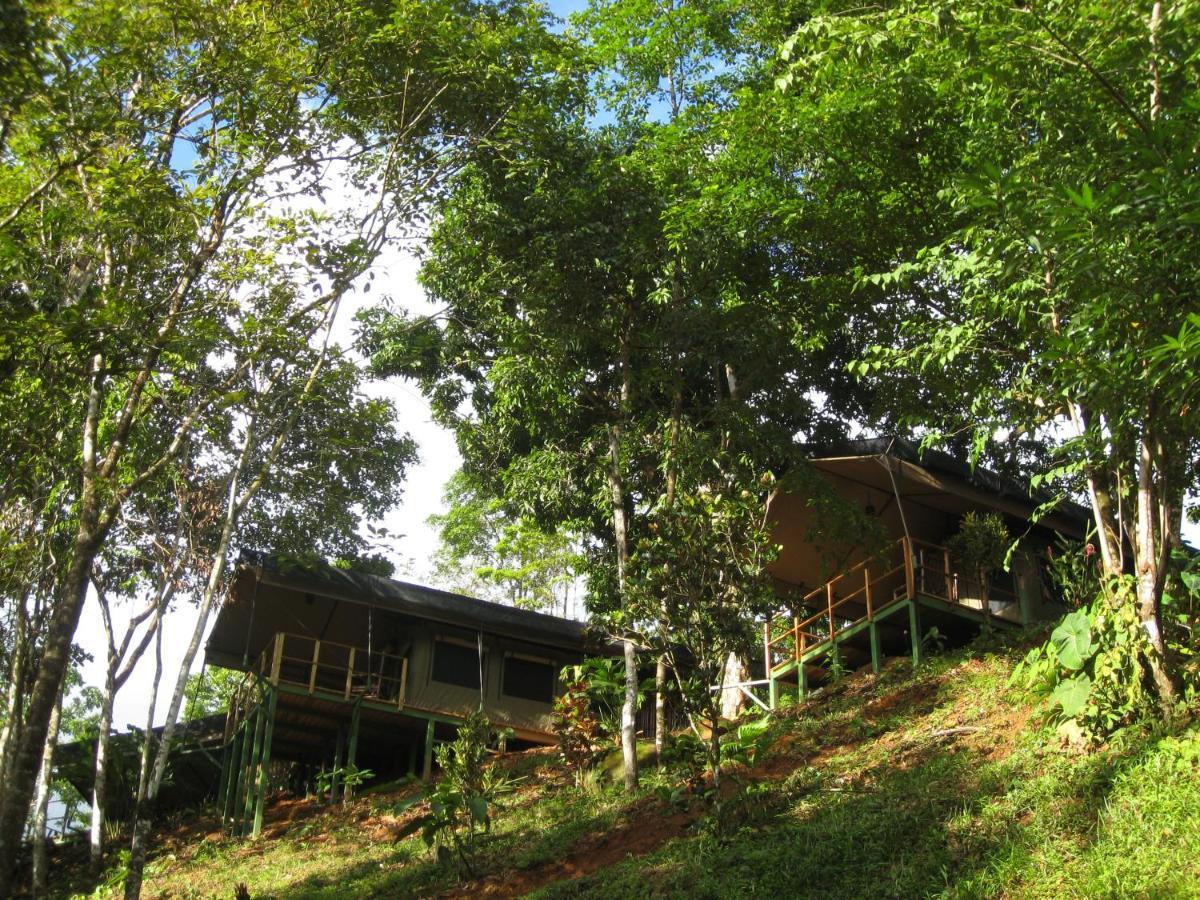 Rio Tico Safari Lodge Punta Mala Экстерьер фото