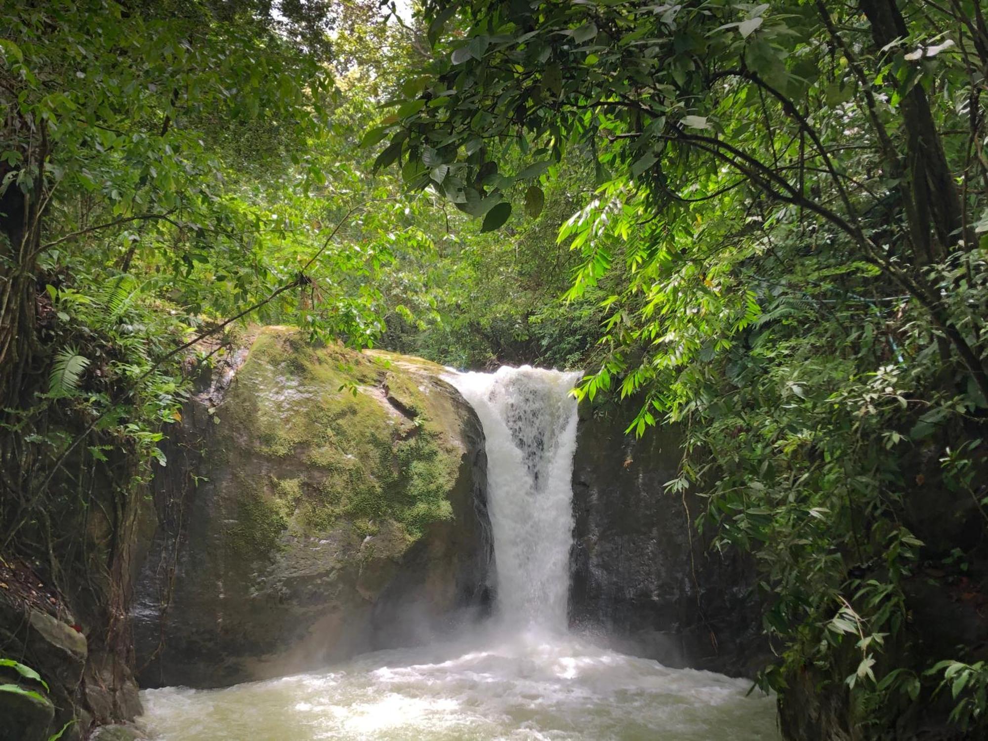 Rio Tico Safari Lodge Punta Mala Экстерьер фото