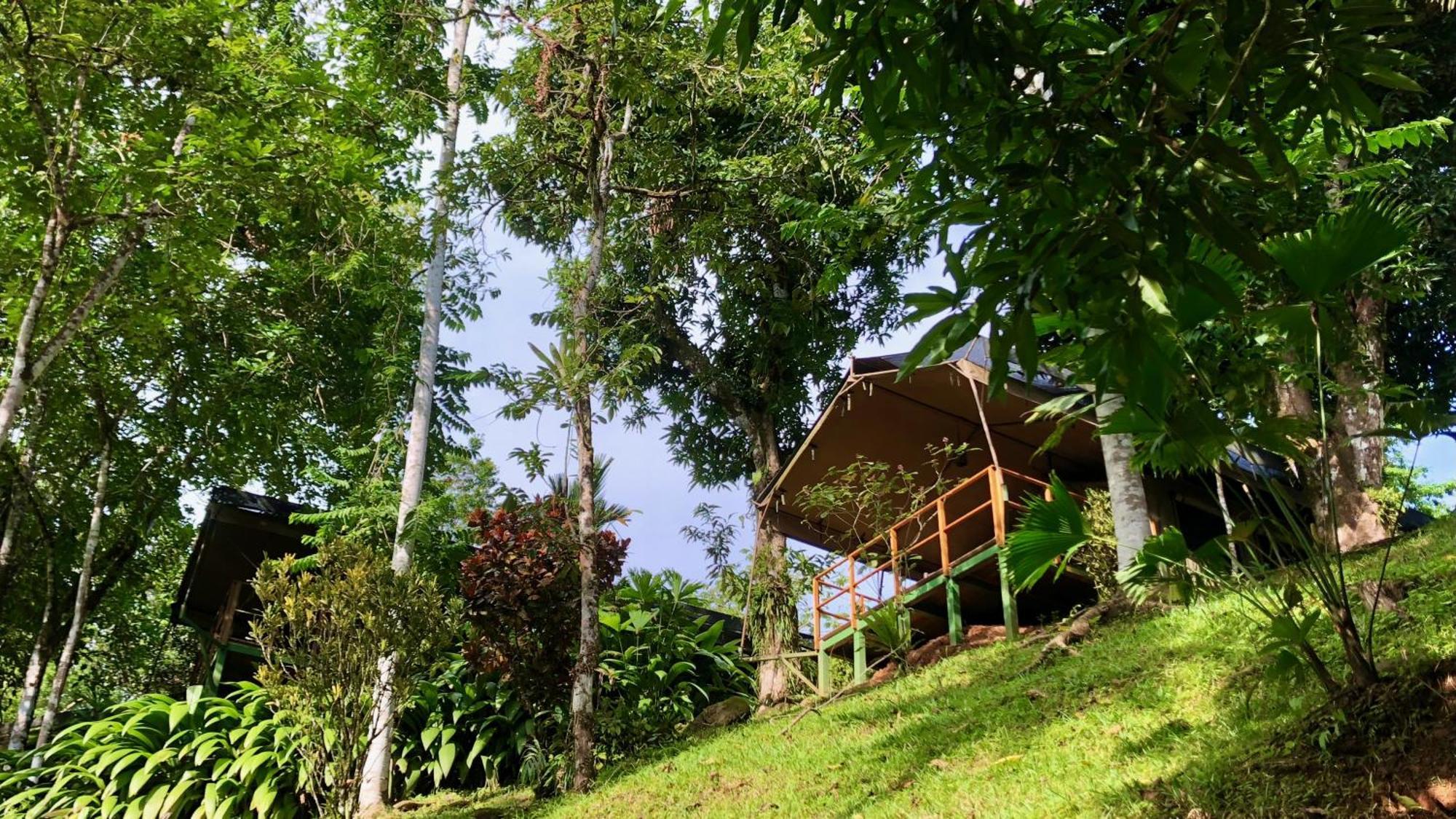 Rio Tico Safari Lodge Punta Mala Экстерьер фото